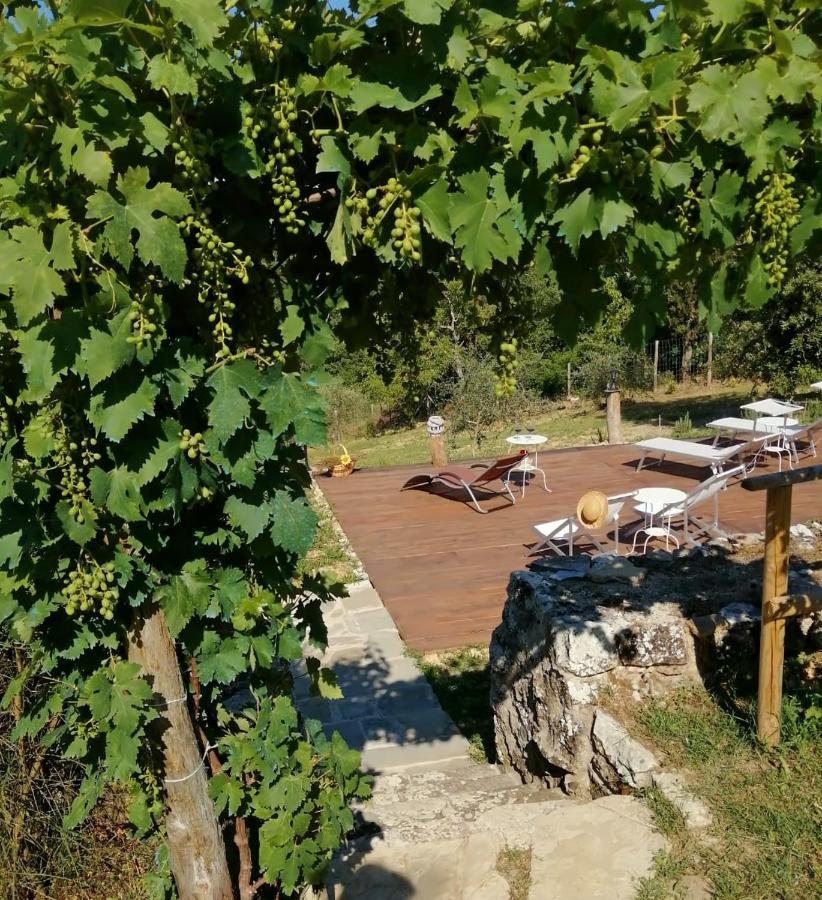 B&B Casagrande Quercegrossa Екстериор снимка